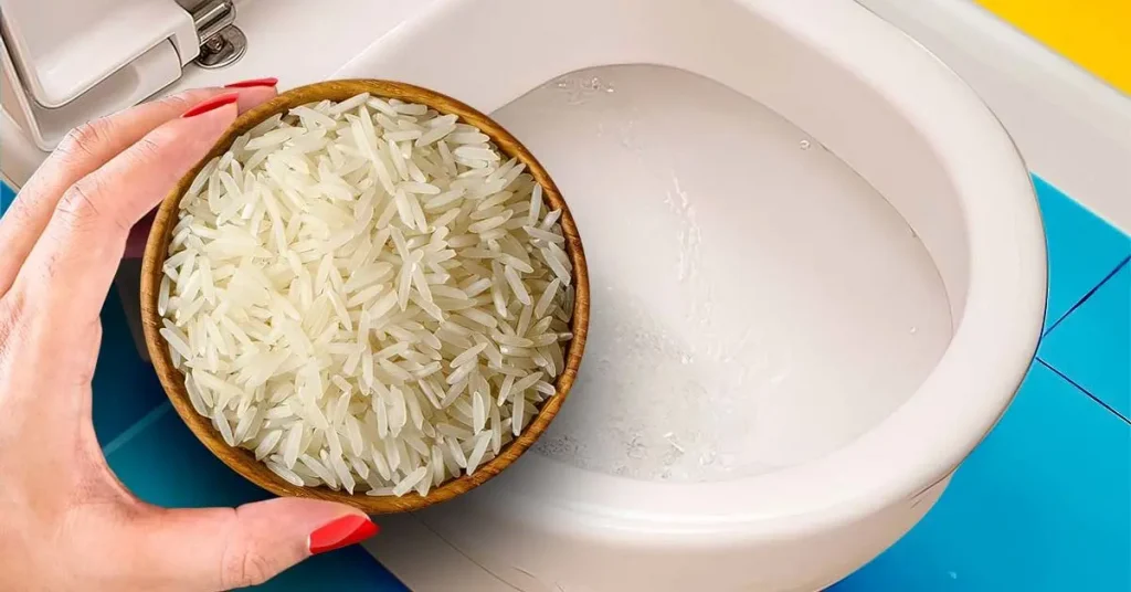 Dejar siempre un bol de arroz en el baño: es la solución a un problema que todos tenemos – Mis Consejos Jardinería