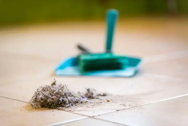 Descubre con nosotros el truco que te permitirá deshacerte realmente del polvo. – Mis Consejos Jardinería