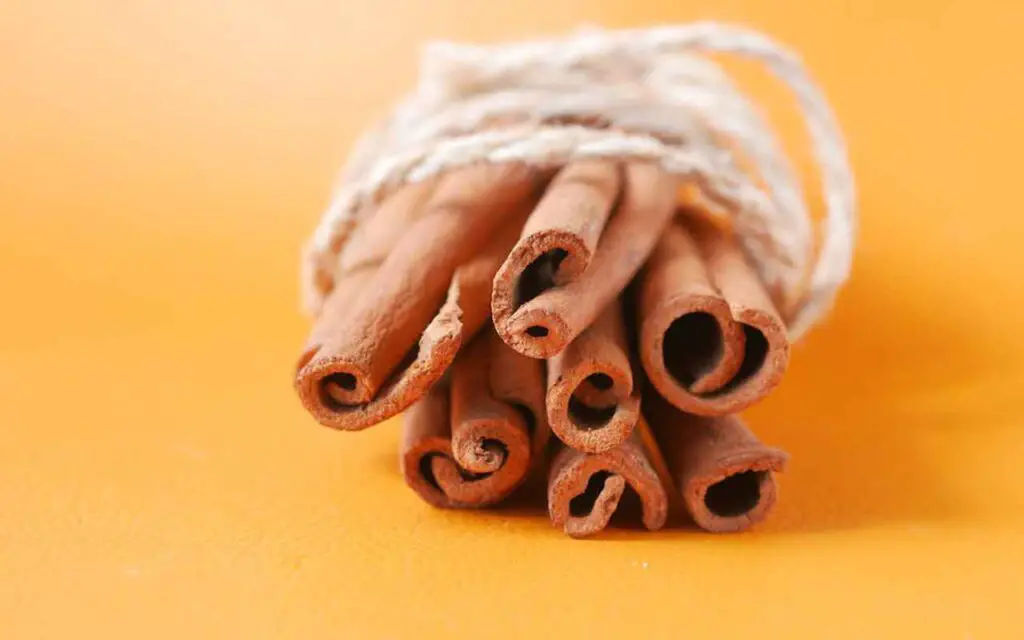 Descubrí lo que sucede si pones 1 rama de canela en jabón para platos: absurdo – Mis Consejos Jardinería