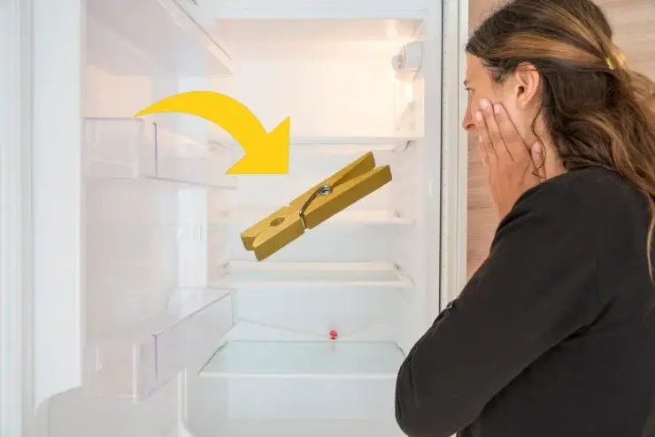 Desde que puse una pinza de ropa en la nevera, he resuelto un gran problema – Mis Consejos Jardinería
