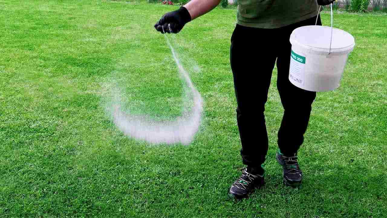 Hombre en el jardín