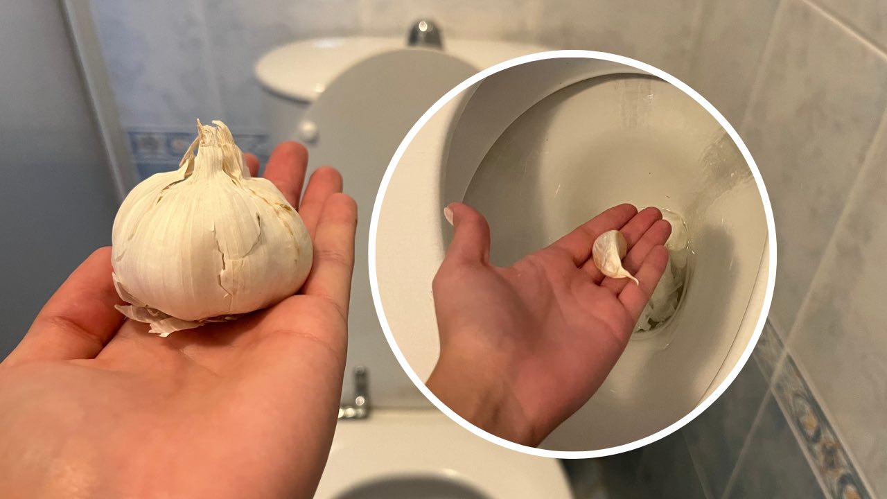 Ajo en el baño.