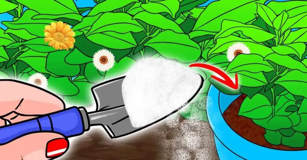 Echar sal en el jardín: el truco del jardinero que siempre funciona – Mis Consejos Jardinería