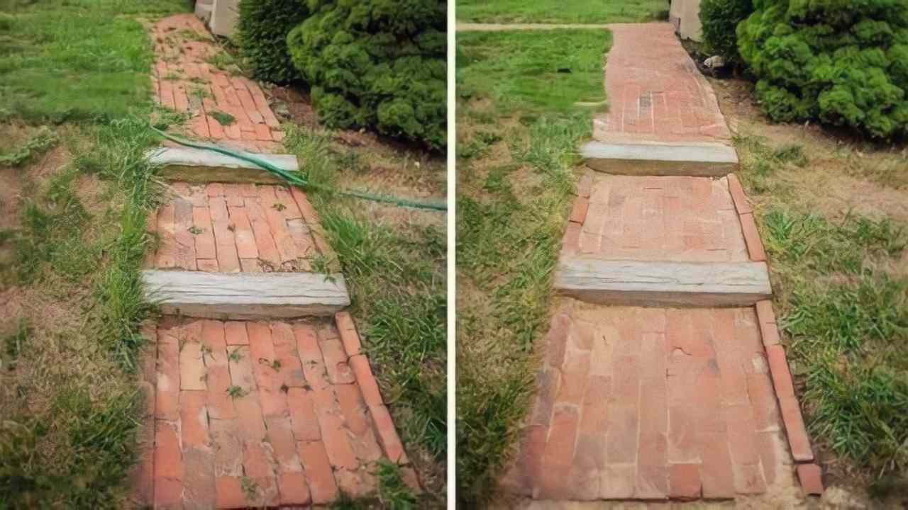 Piso con malezas