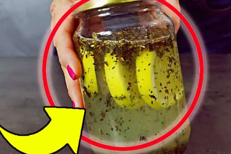El antiguo remedio para ahuyentar mosquitos y moscas: eso es lo que solía hacer mi abuela – Mis Consejos Jardinería