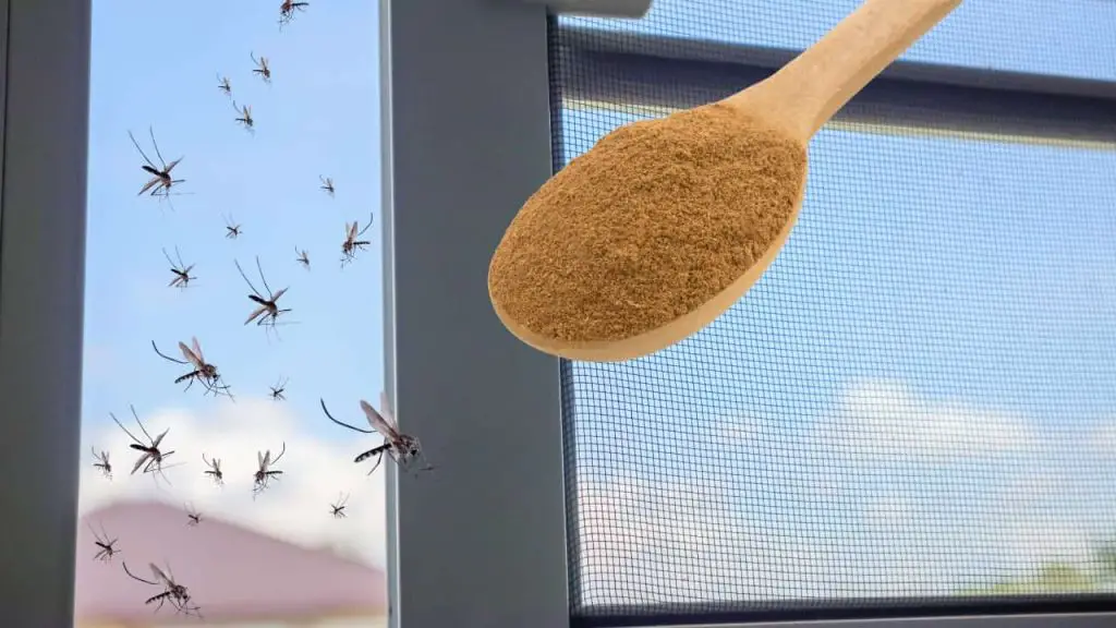 El insecticida más potente contra los mosquitos está en la cocina: los haces desaparecer sin coste alguno – Mis Consejos Jardinería