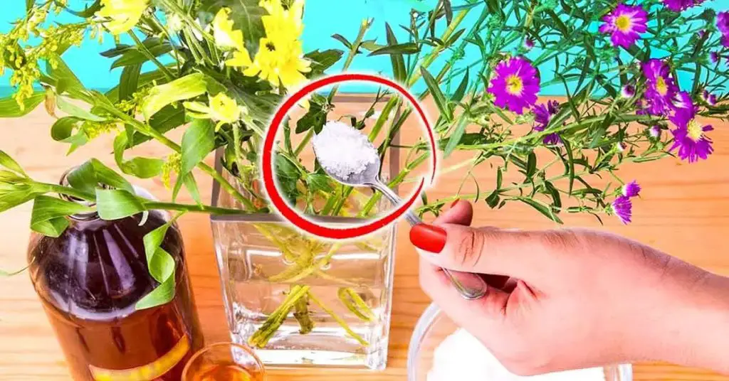 El truco de los floristas para conservar más tiempo las flores en los jarrones – Mis Consejos Jardinería