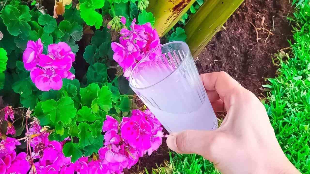 El truco del jardinero