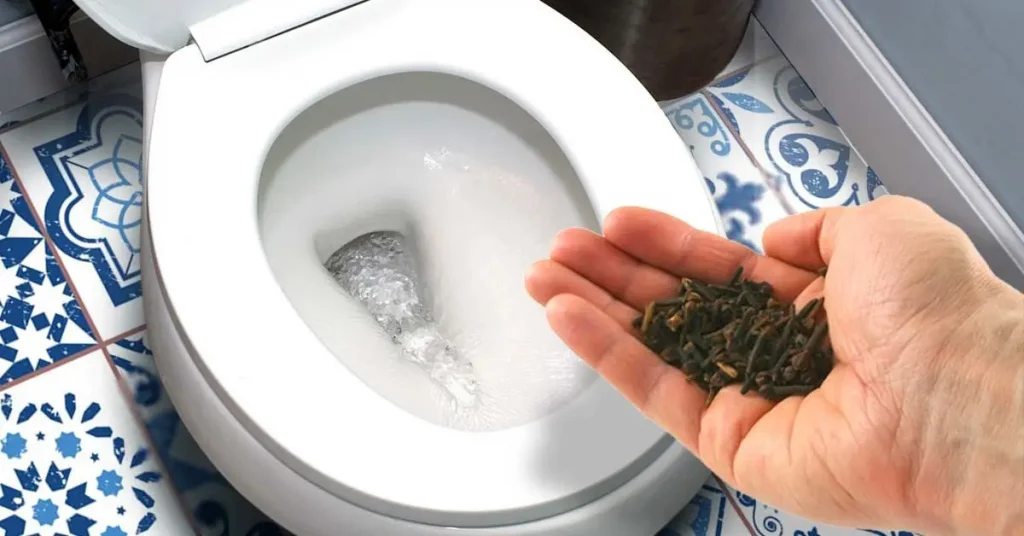 El truco genial para eliminar el olor a orina del baño y dejar un agradable aroma – Mis Consejos Jardinería