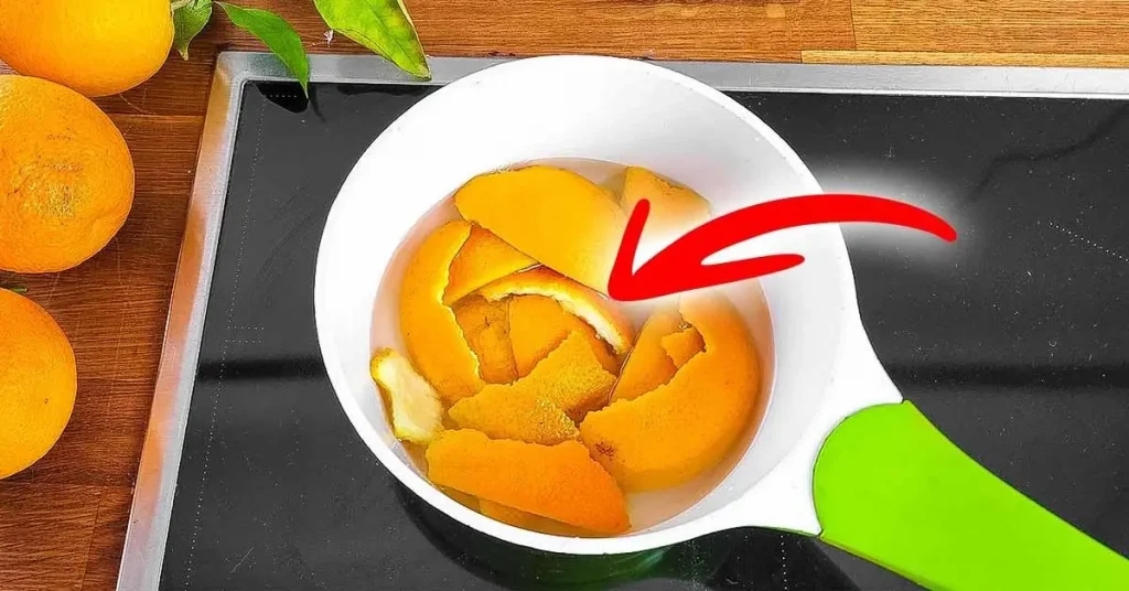 El truco para eliminar todos los malos olores de la cocina y dejar un agradable aroma – Mis Consejos Jardinería