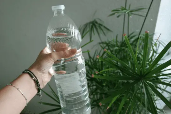 El vinagre blanco no es solo para cocinar. Aquí hay 12 usos para el jardín. – Mis Consejos Jardinería