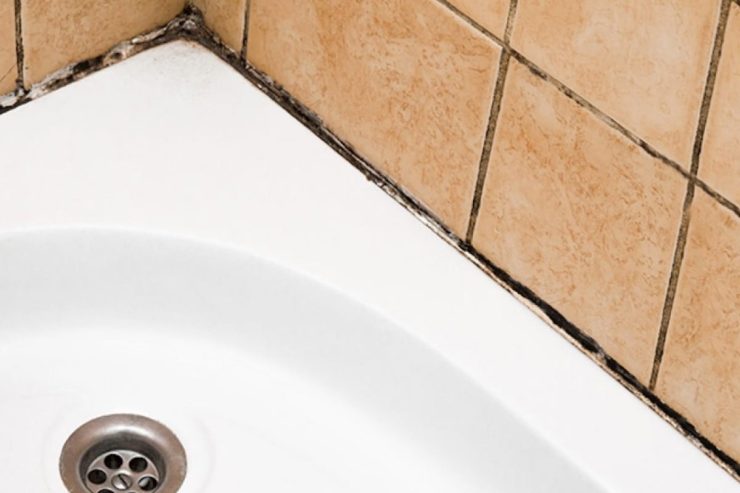 Eliminar el moho negro de la silicona en la cocina y el baño: el método eficaz – Mis Consejos Jardinería