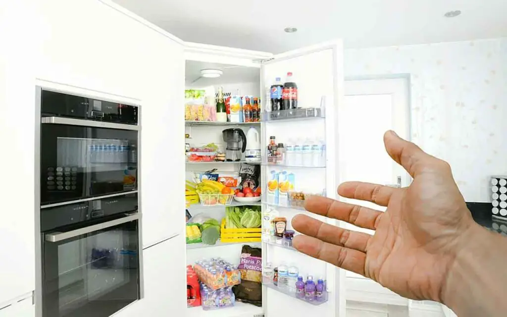 Elimine la cal de los estantes de su refrigerador de esta manera súper efectiva – Mis Consejos Jardinería