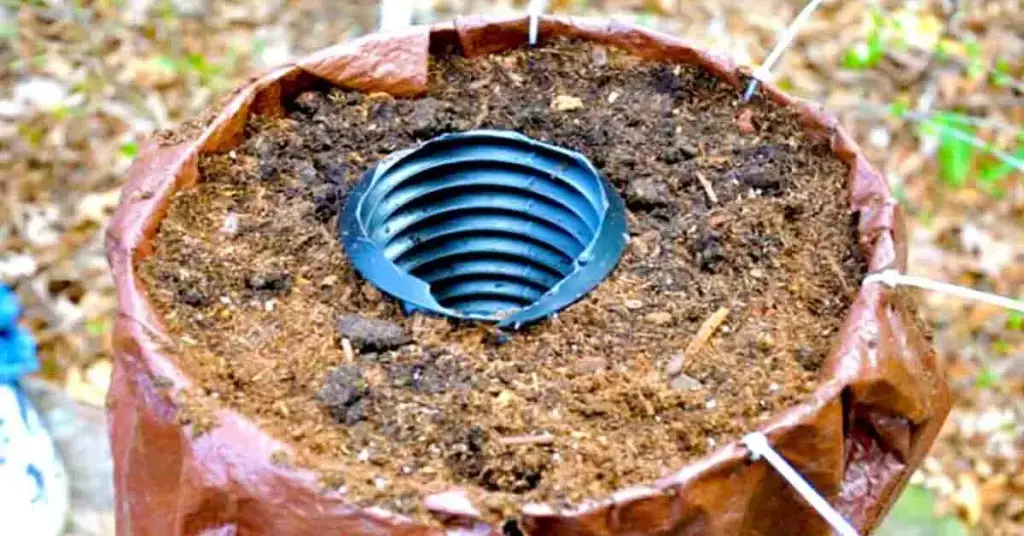 Enterrar un tubo de plástico en el suelo es una buena idea para las plantas exuberantes – Mis Consejos Jardinería