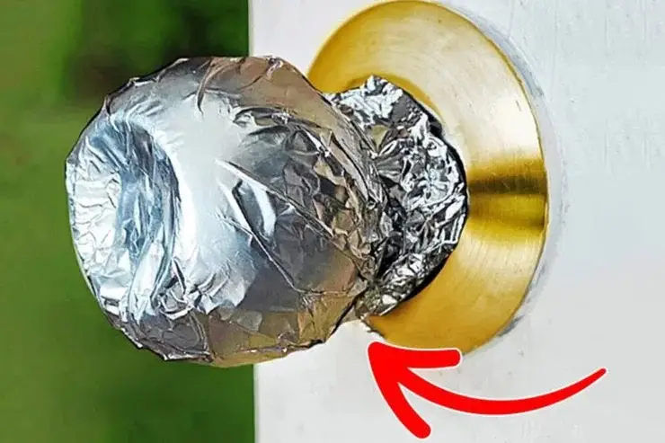 Envuelva la lámina alrededor de la manija de la puerta, ¡he aquí por qué! – Mis Consejos Jardinería