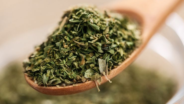 Espolvorea orégano en tus pies: qué le pasa a tu cuerpo al cabo de unos segundos – Mis Consejos Jardinería