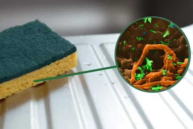 Esponjas para platos: un verdadero receptáculo para las bacterias, la alternativa más higiénica para usar – Mis Consejos Jardinería