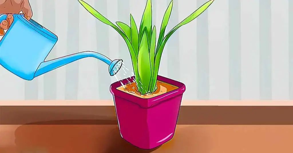 Esta es la forma correcta de regar las plantas en invierno para evitar que mueran – Mis Consejos Jardinería