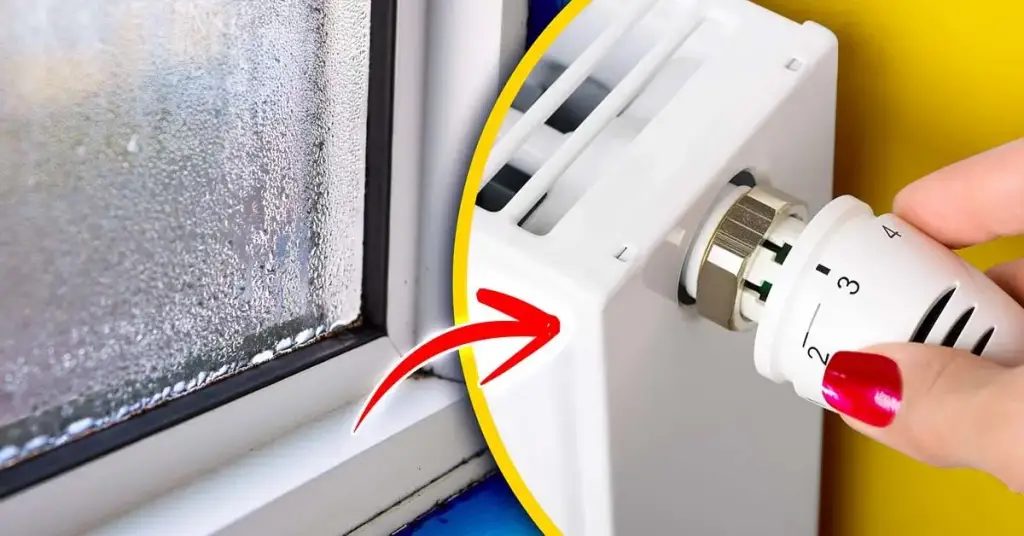 Esta es la temperatura de calefacción ideal para evitar la condensación en las ventanas – Mis Consejos Jardinería