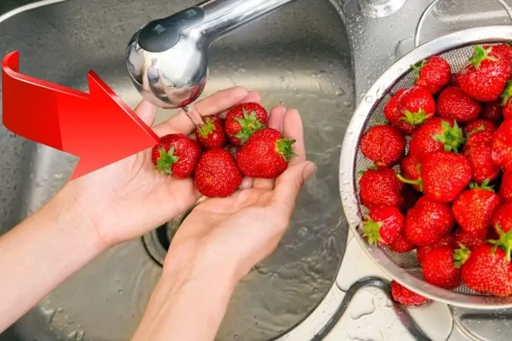 Esta es la única forma de eliminar los pesticidas de las fresas, ¡pero todos estamos equivocados! – Mis Consejos Jardinería