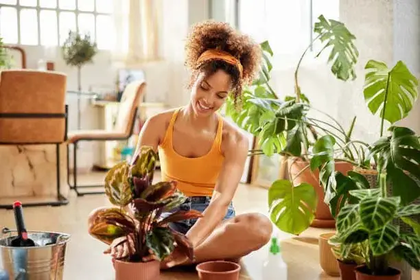 Estas plantas que limpian nuestro interior – Mis Consejos Jardinería