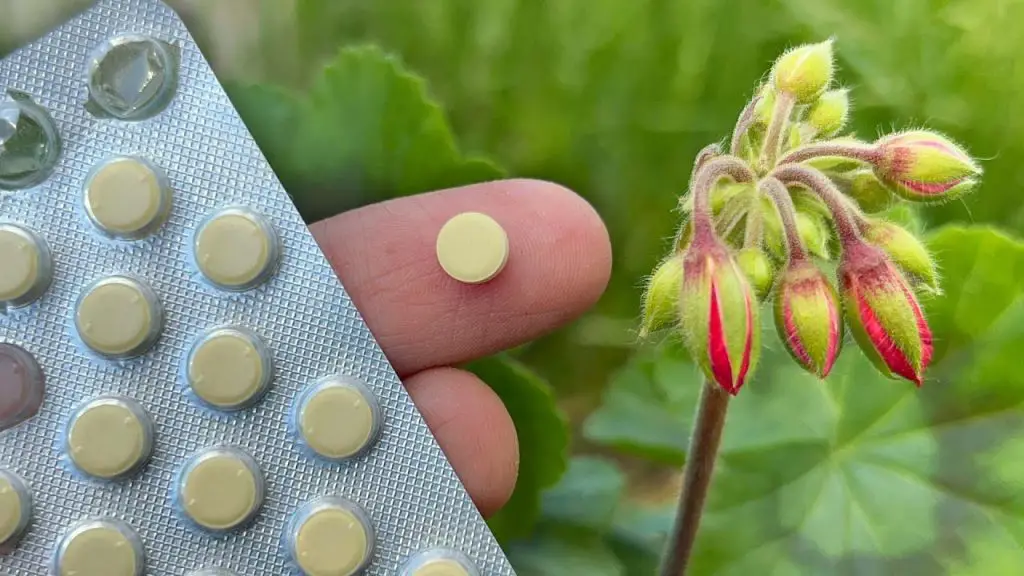 Este ingrediente es el secreto para hacer crecer las plantas y no cuesta nada – Mis Consejos Jardinería