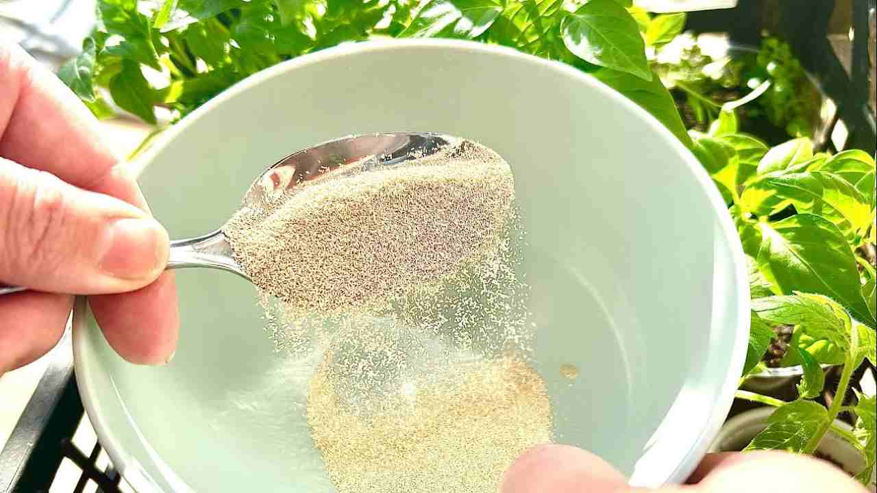 Ingrediente en el tazón