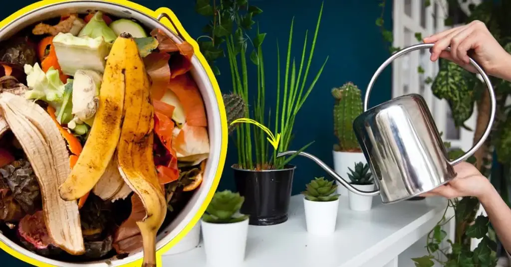 Fertilizante natural: aquí se explica cómo usar las cáscaras de frutas y verduras para alimentar las plantas – Mis Consejos Jardinería