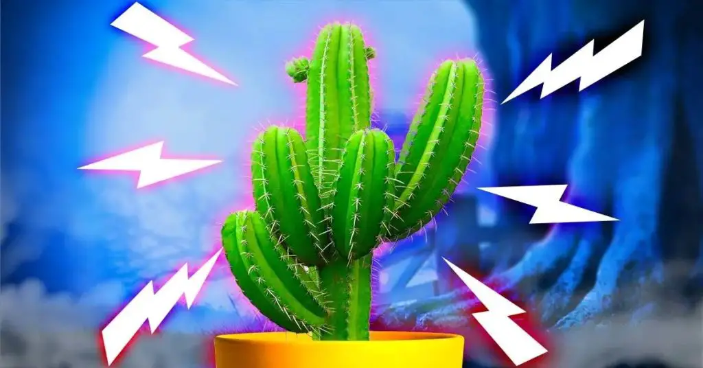 Flores que no debes tener en casa bajo ningún concepto. Solo atraen mala suerte y problemas. – Mis Consejos Jardinería