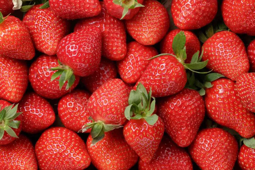 Fresas en maceta: todos están locos por esta deliciosa idea, así es como se hace – Mis Consejos Jardinería