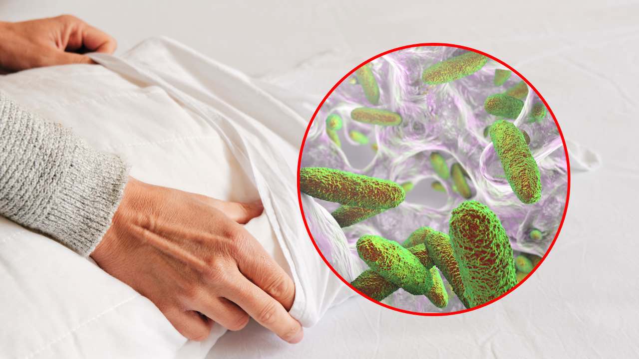 Fundas de almohada de bacterias