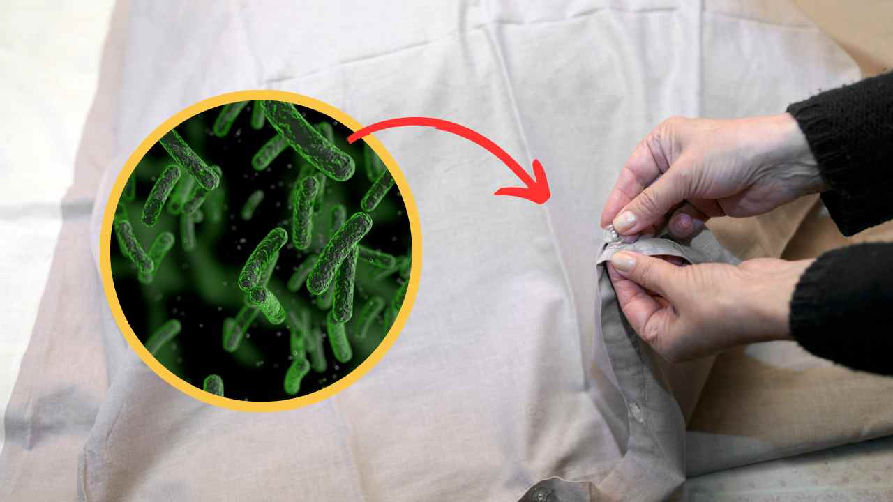 fundas de almohada con bacterias