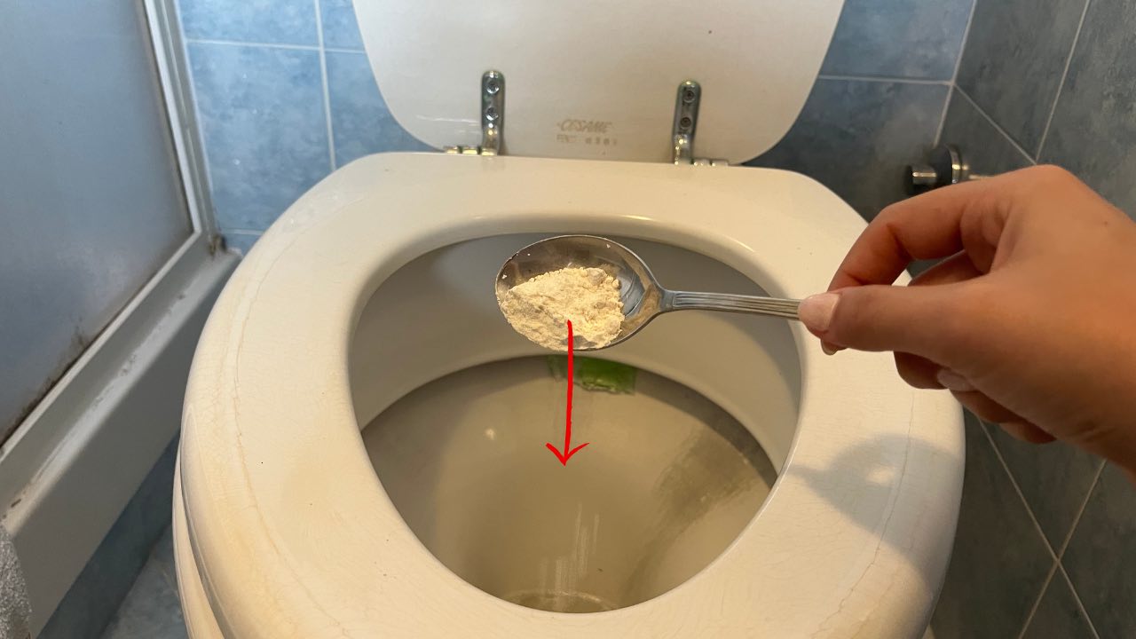 Harina en el baño