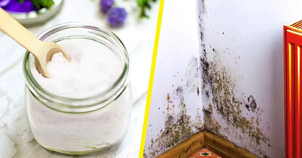 He aquí cómo hacer un absorbente de humedad fácil para evitar el moho en el hogar. – Mis Consejos Jardinería