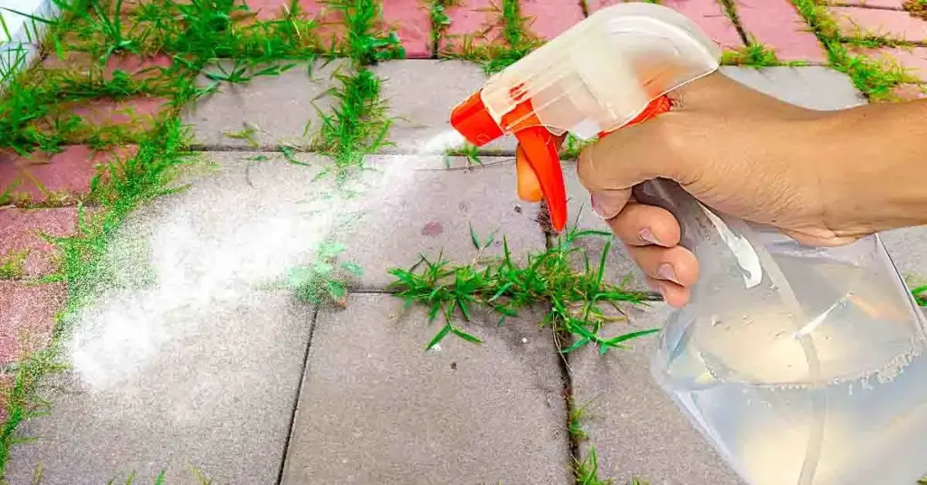 He aquí cómo preparar el jardín para la primavera en 4 pasos – Mis Consejos Jardinería