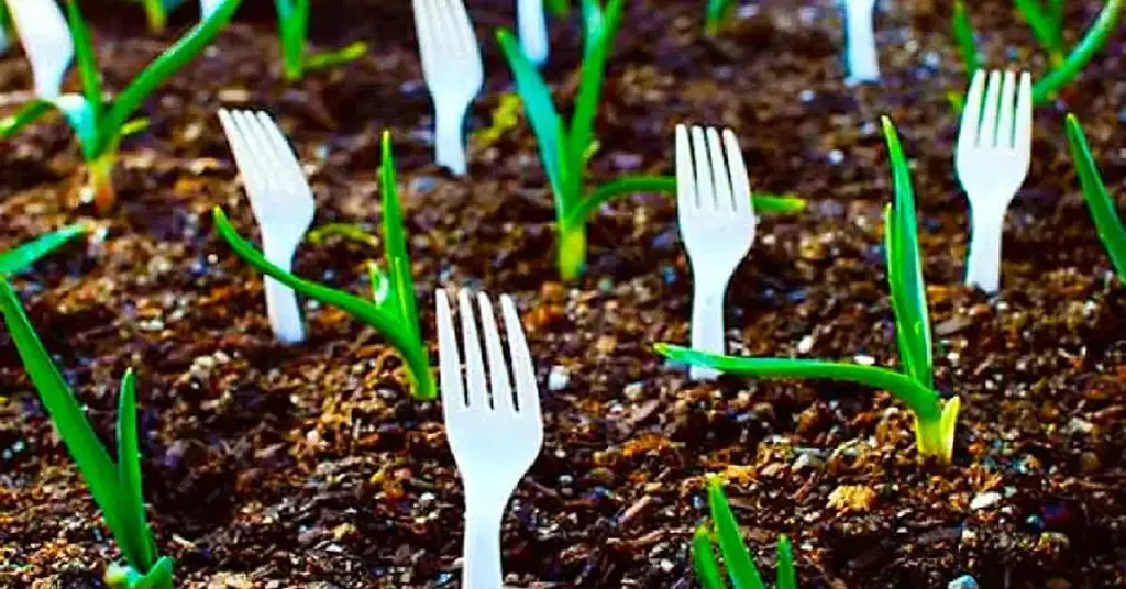He aquí por qué deberías plantar tenedores de plástico en el jardín – Mis Consejos Jardinería