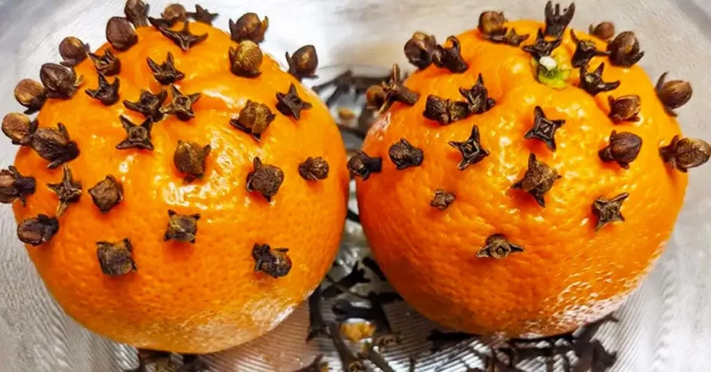 He aquí por qué los clavos deben plantarse absolutamente en una naranja – Mis Consejos Jardinería