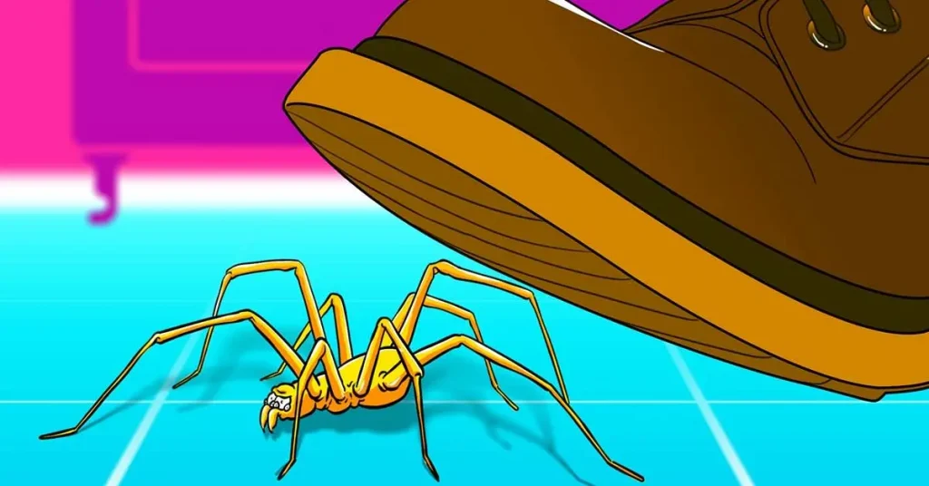 He aquí por qué no debes aplastar una araña en tu casa – Mis Consejos Jardinería