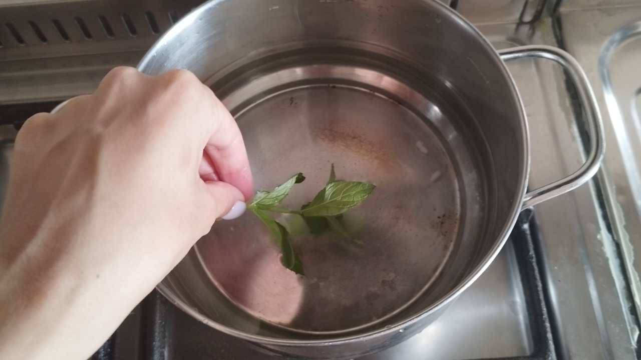 Esto es lo que sucede si hierves 3 hojas de menta en una olla