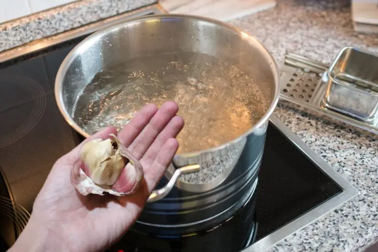 Hervir 5 dientes de ajo en una olla grande y luego usarlo así, ¡mi abuela solía hacerlo todo el verano! – Mis Consejos Jardinería