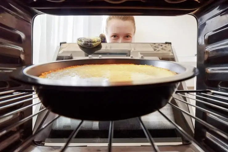 Horno: el ahorro en las facturas está garantizado. Descubre el momento perfecto para usarlo – Mis Consejos Jardinería