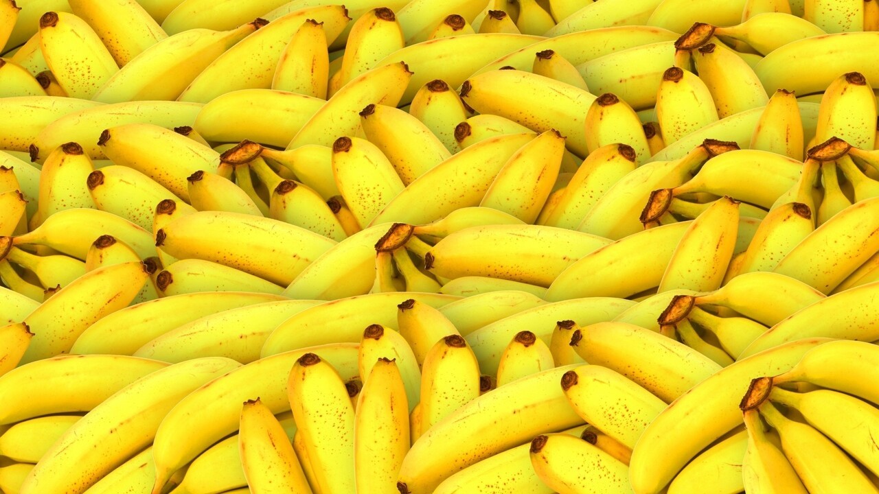 cáscaras de bananas
