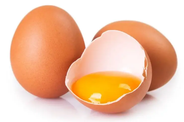 Huevos caducados, no los tires: úsalos para que te sorprendas – Mis Consejos Jardinería