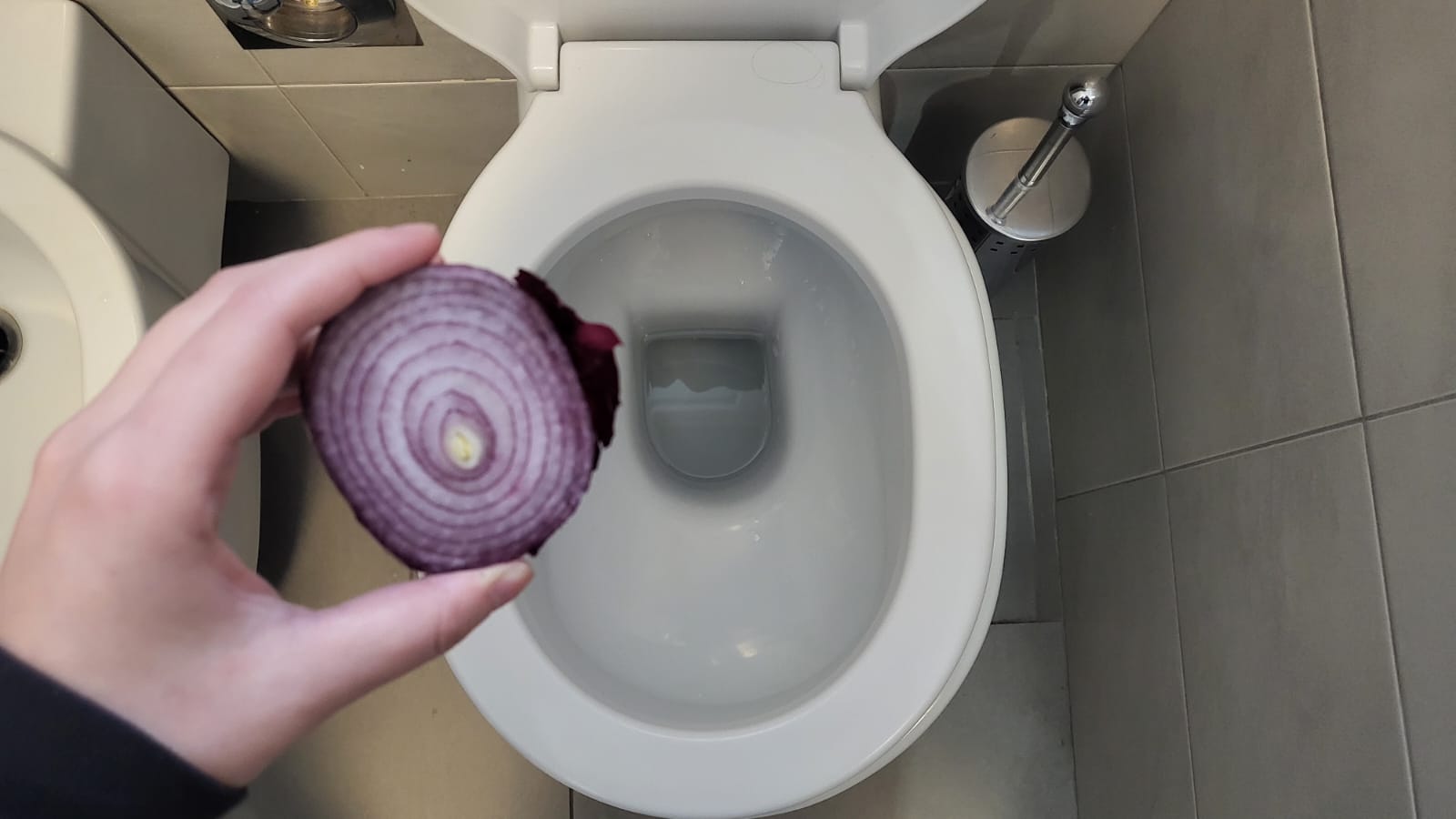 Cebollas
