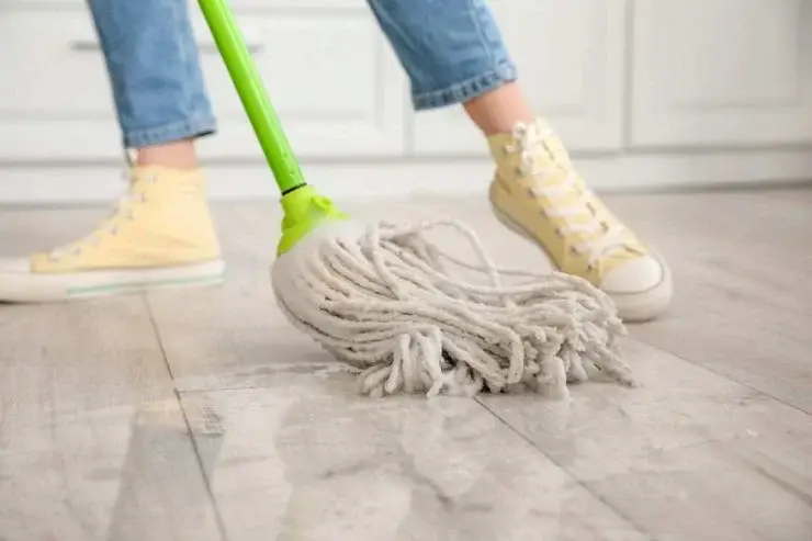 Insectos en la casa en verano: con solo 1 ingrediente en el suelo los ahuyentarás de forma permanente – Mis Consejos Jardinería