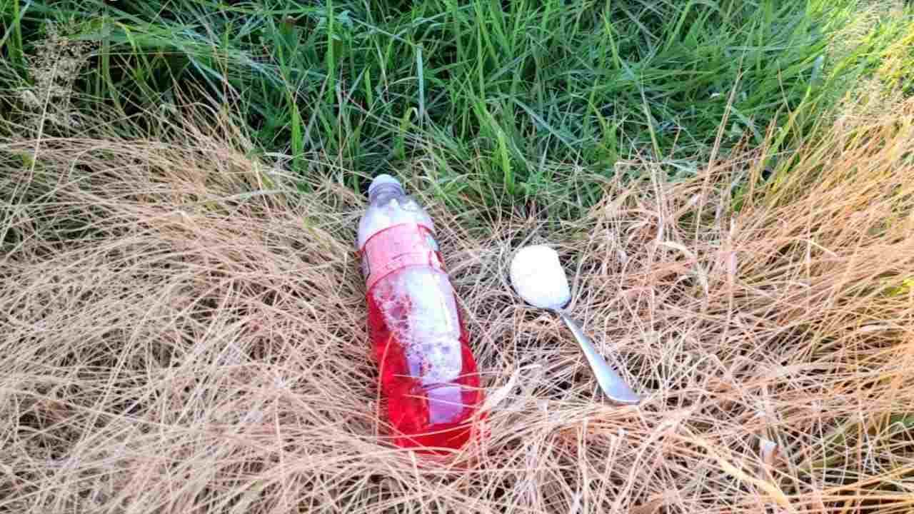 Malezas en el jardín