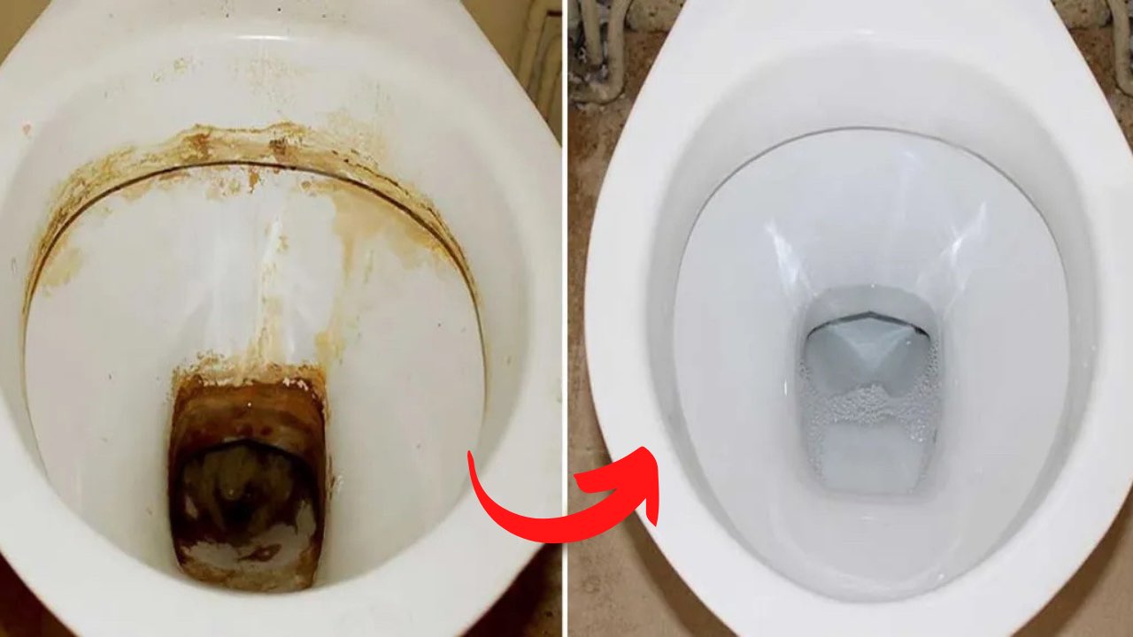 Cal rebelde en el baño