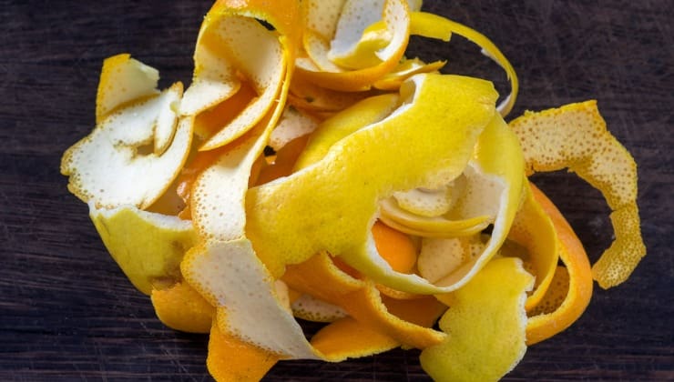 Piel de naranjas y limones
