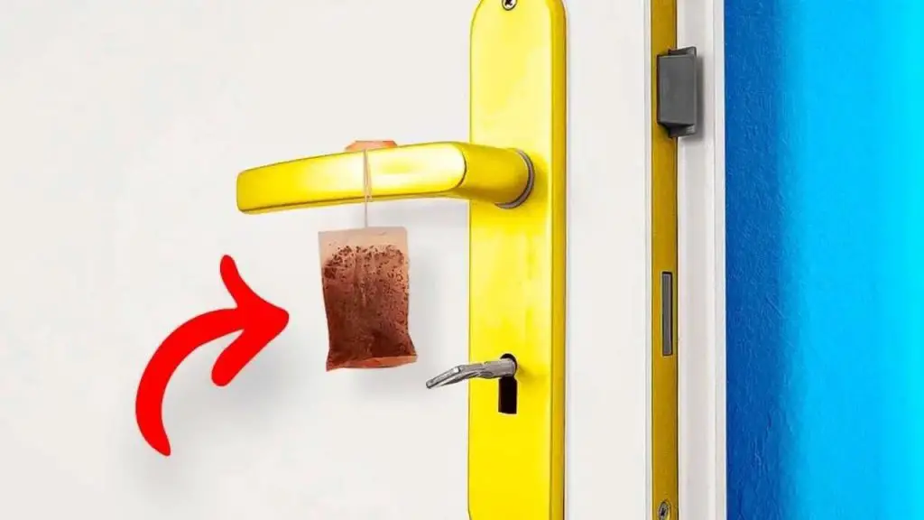 Las bolsitas de té usadas no las tires, cuélgalas en el pomo de la puerta: ahorra mucho dinero – Mis Consejos Jardinería