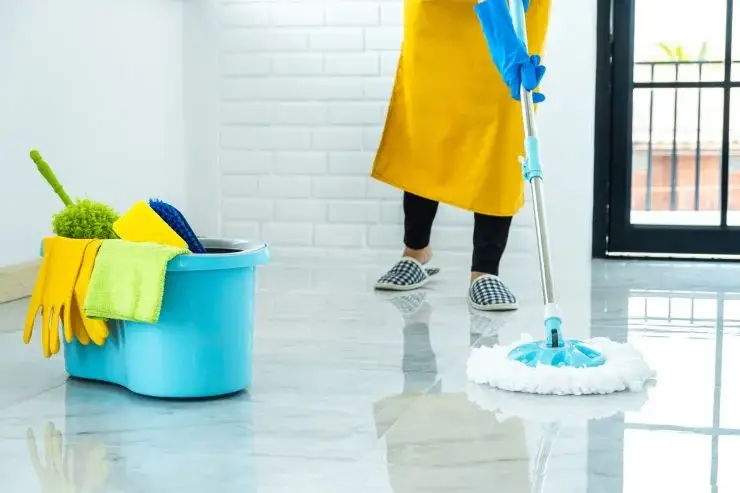 Lavo el piso con este ingrediente, perfumo la casa y los insectos y las cucarachas se han ido. – Mis Consejos Jardinería